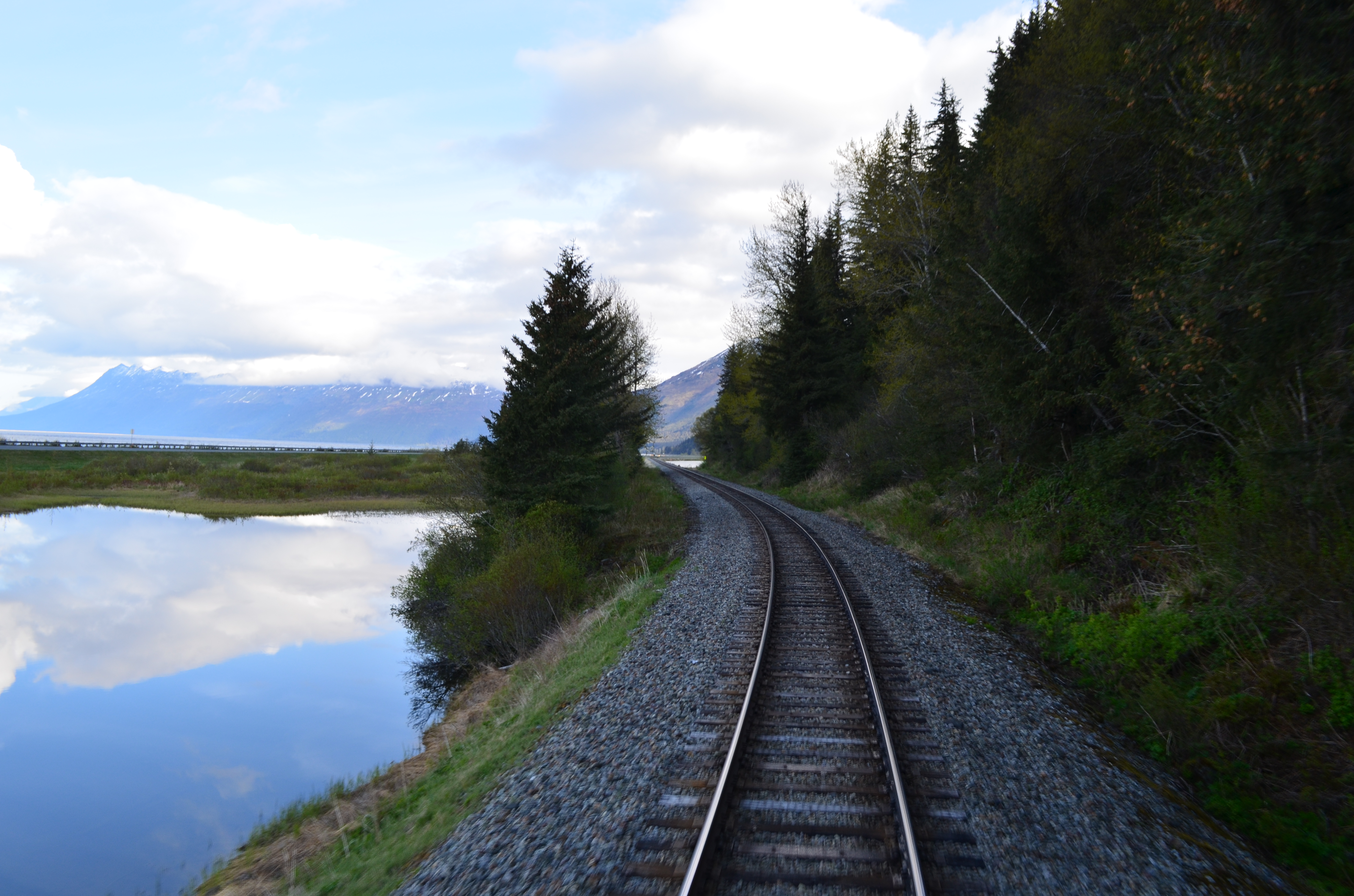 ./2017/08 - Alaska Cruise/05 - Train to Seward/DSC_0493.JPG